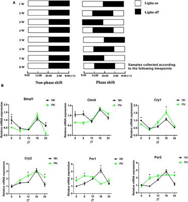 Circadian dysregulation induces alterations of visceral sensitivity and the gut microbiota in Light/Dark phase shift mice